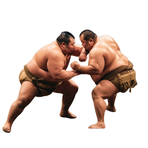 Sumo