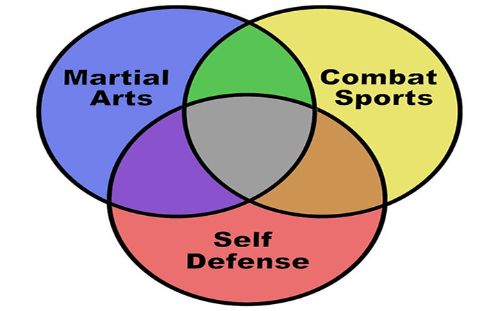 What to learn from martial arts science ?